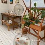 西安探店|在天台找到的宁静时刻