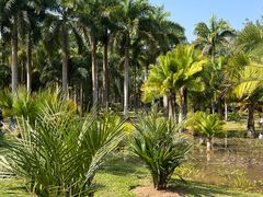 -中国科学院西双版纳热带植物园