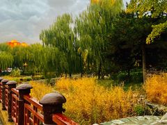 -元大都城垣遗址公园