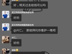-伟伟宠物医院·CT影像中心·瑞派犬猫综合性门诊(汉口总院)