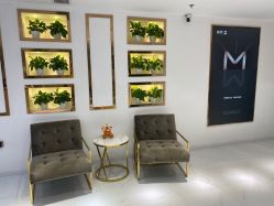 -MIVI野生眉纹绣纹眉