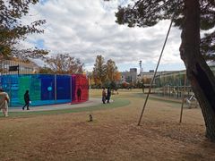 -金泽21世纪美术馆