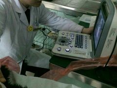 android_upload_pic-康乐宝动物医院