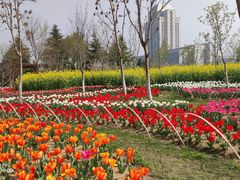 -江南大学(蠡湖校区)
