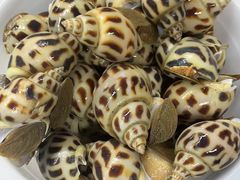 -潮道鱼仔店·潮汕味(长兴路店)