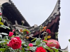 -檀园