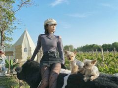 -安德鲁户外烧烤帐篷营地(马泉营店)