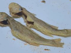 -老王头饺子(孟家店)