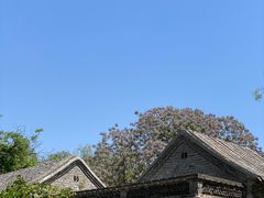 -济南大明湖景区