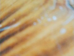 -民族饭荘(新华大街店)