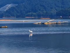 -白鹭湾湿地公园