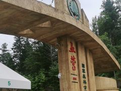 -五营国家森林公园