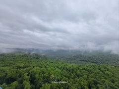 -汤旺河林海奇石景区