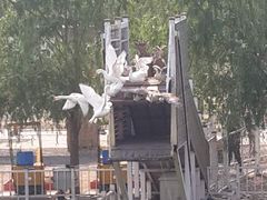 -北京鹿世界主题园