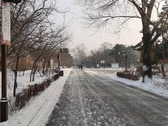 -长春市南湖公园