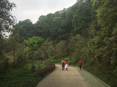 -云溪植物园
