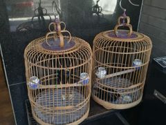 -到家尝北京菜(西坝河店)