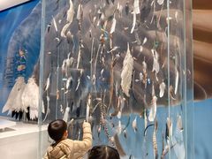 -盐城丹顶鹤湿地生态旅游区