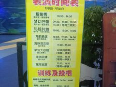 -芜湖新华联大白鲸海洋公园