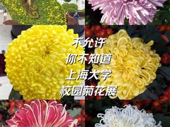 -上海大学(宝山校区)