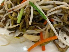 芽菜炒禾虫-寻味顺德·南记酒家·传统顺德菜·鱼生(广源路店)