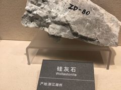 -安徽省地质博物馆
