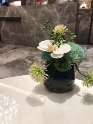 -香榭丽舍·海菲秀·皮肤管理痘敏肌修护