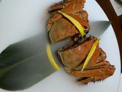 -觀芷隐轩