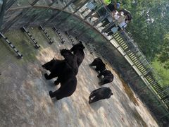 -西安秦岭野生动物园