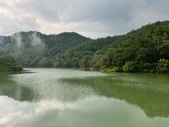 -广州白江湖森林公园