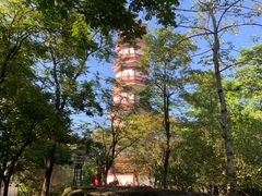 -分塔山省级森林公园