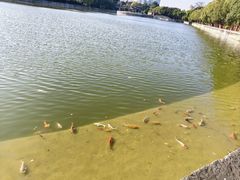 -建水文庙