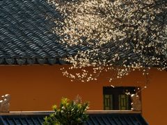 -南北湖风景区