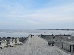 -南汇新城海滩