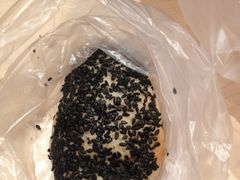 蟹壳黄-王家沙点心店(南京西路总店)