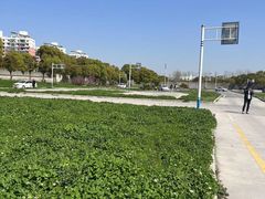 -安飞驰驾校·学车连锁(金高店)