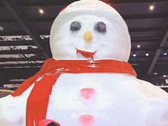 -宁波冰雪大世界(北仑区)