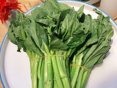 -鸽子窝(宋庄店)