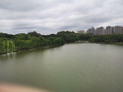 -东莞植物园