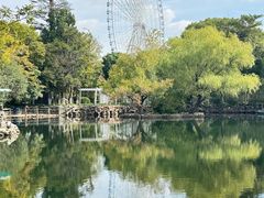 -无锡蠡湖国家湿地公园-蠡园