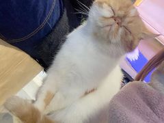-极木²邸 人与宠物·互动社区