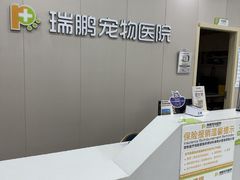 -瑞鹏宠物医院·骨外科·心肾科·肿瘤科(九亭店)