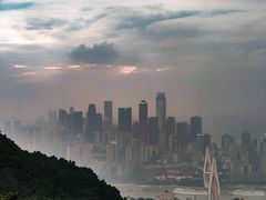 -南山植物园