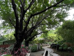 -东莞市可园博物馆