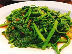 -ZF Seafood Restaurant 卓峰海鲜餐