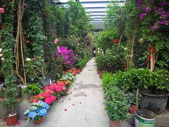 -金科花卉市场