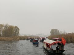 -白洋淀景区