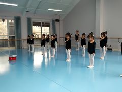 -西安小天鹅艺术团(曲江Alice店)