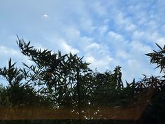 -湖滨客舍·湖北菜