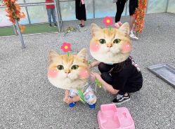 -萌宠亲子动物乐园(槐房万达店)